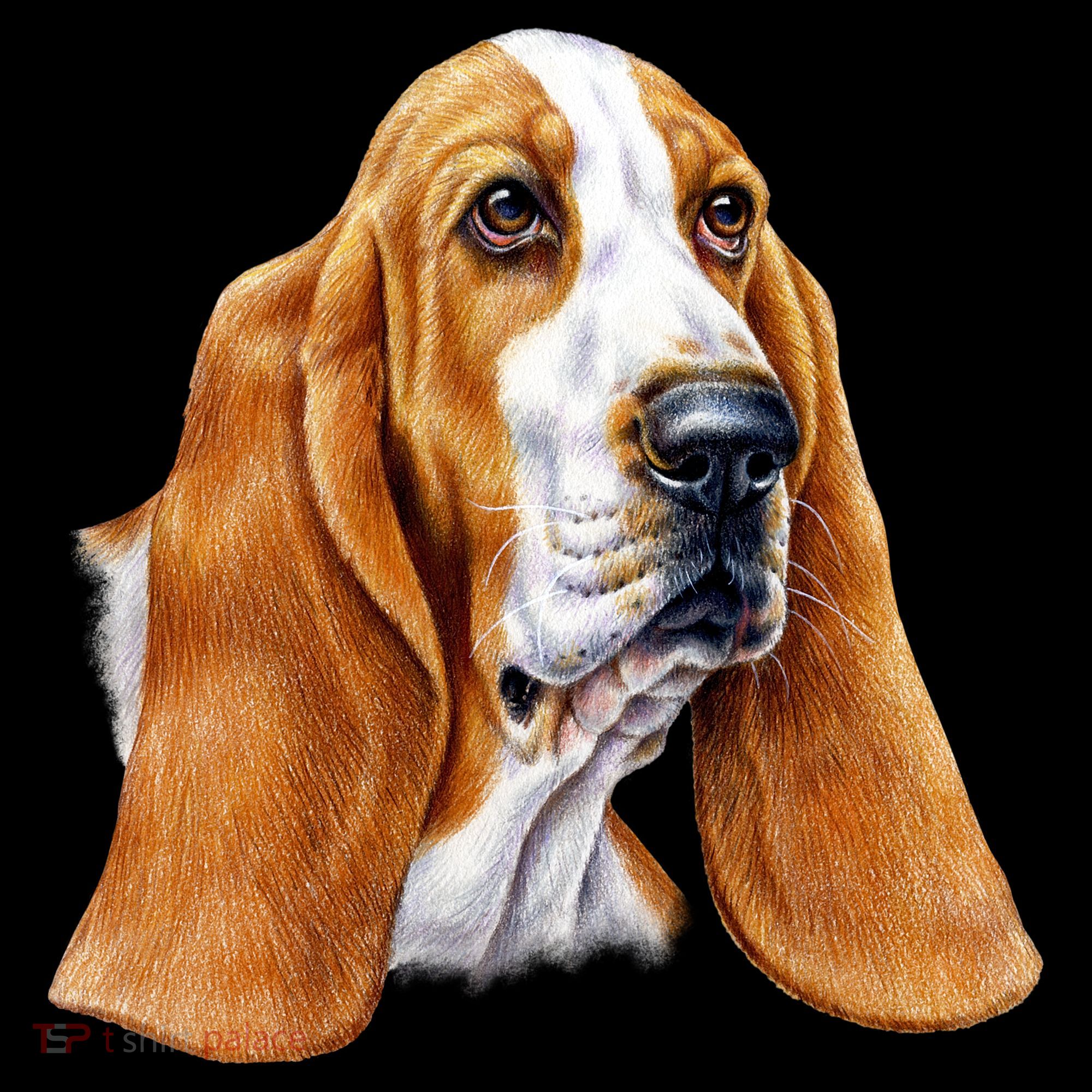 Basset Hound Face Toddler T-Shirt
