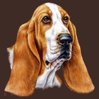 Basset Hound Face Apron thumb 3