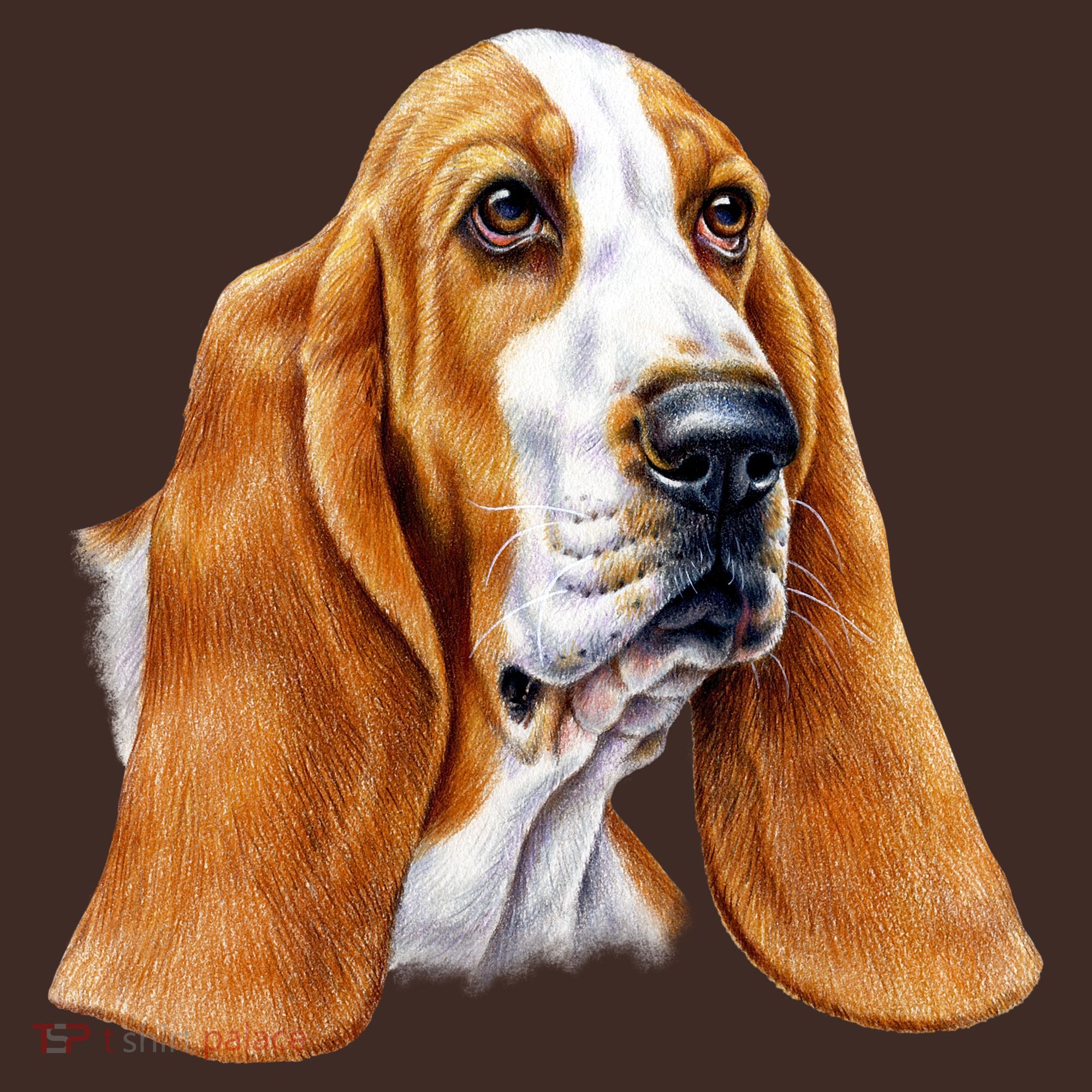 Basset Hound Face Apron