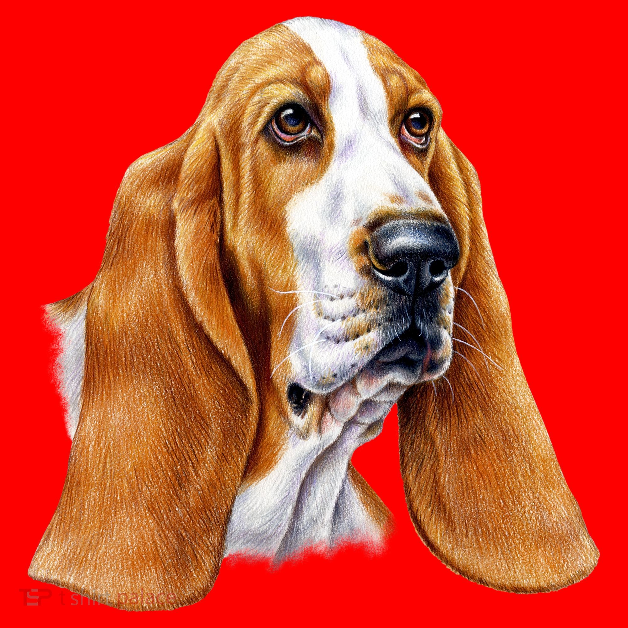 Basset Hound Face Santa Hat