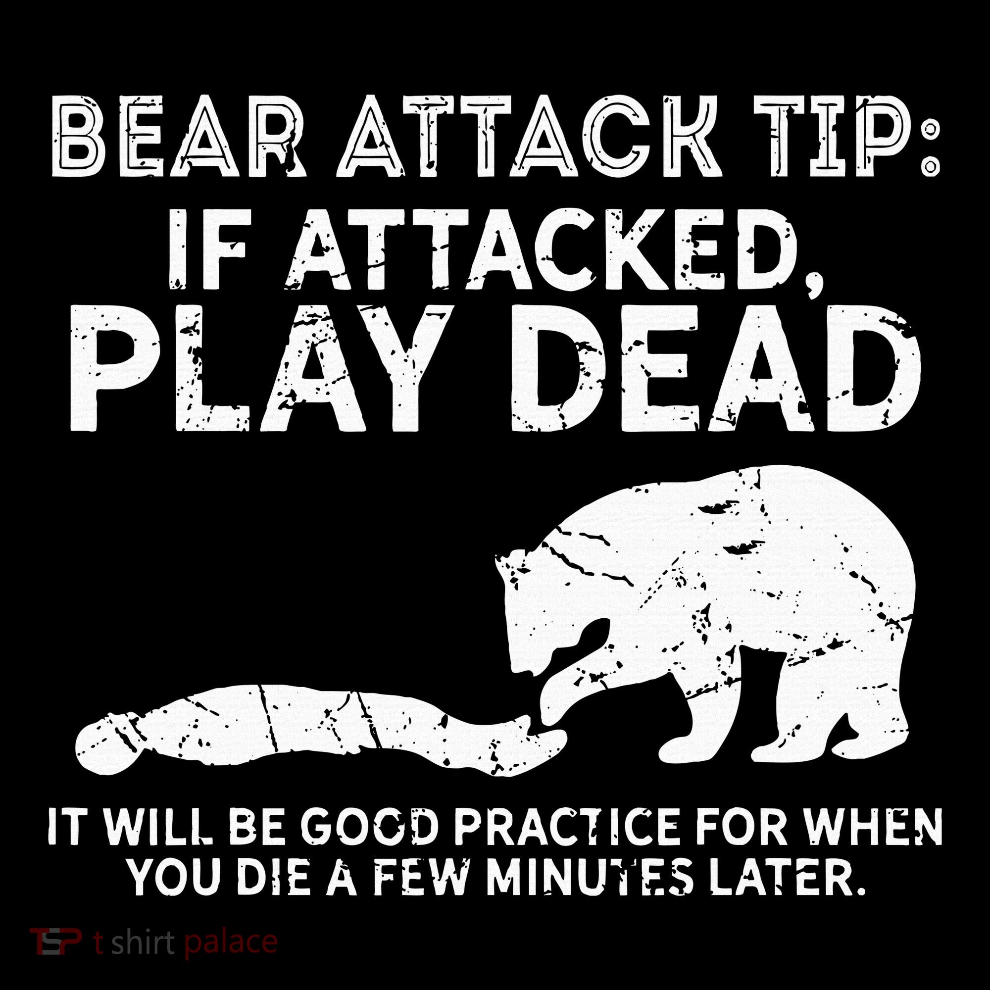 Bear Attack Tip If Attacked Play Dead Hoodie