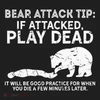 Bear Attack Tip If Attacked Play Dead Beanie thumb 2