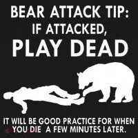 Bear Attack Tip If Attacked Play Dead It Will Be Good Women's Long Sleeve Shirt thumb 2