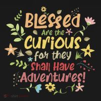 Blessed Are The Curious For They Shall Have Adventures Humor Women's Hoodie thumb 2