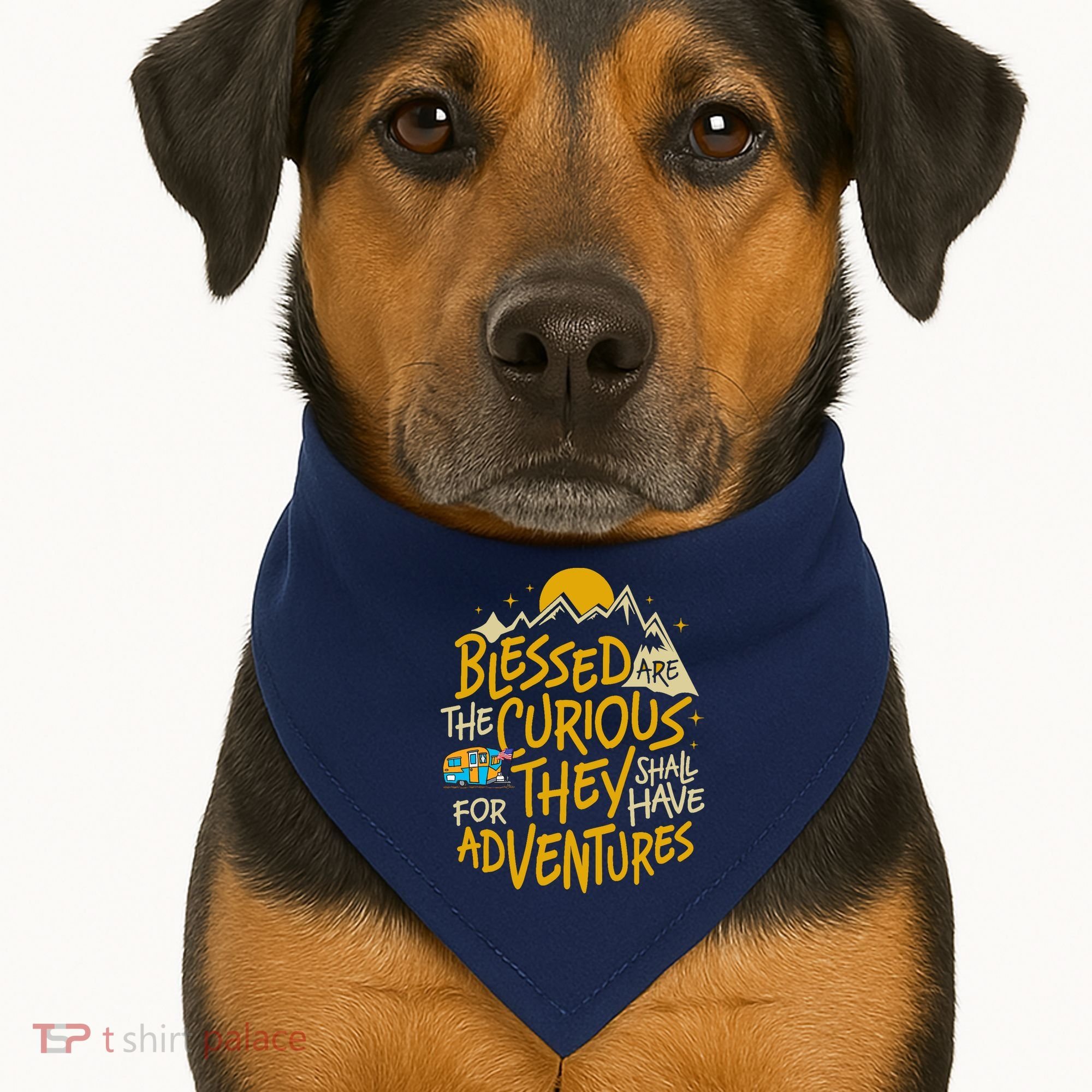 Blessed Are The Curious For They Shall Have Adventures USA-Made Doggie Bandana