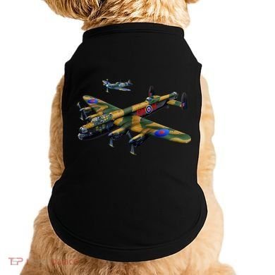 Battle of Britain Airforce War Plane Doggie Tank