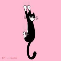 Black And White Cat Hanging On Funny Tuxedo Cat Lovers Coaster thumb 2