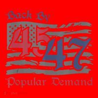 Back By 45 47 Popular Demand Funny America Flag Trump Won Santa Hat thumb 1