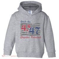 Back By 45 47 Popular Demand Funny America Flag Trump Won Toddler Hoodie thumb 0
