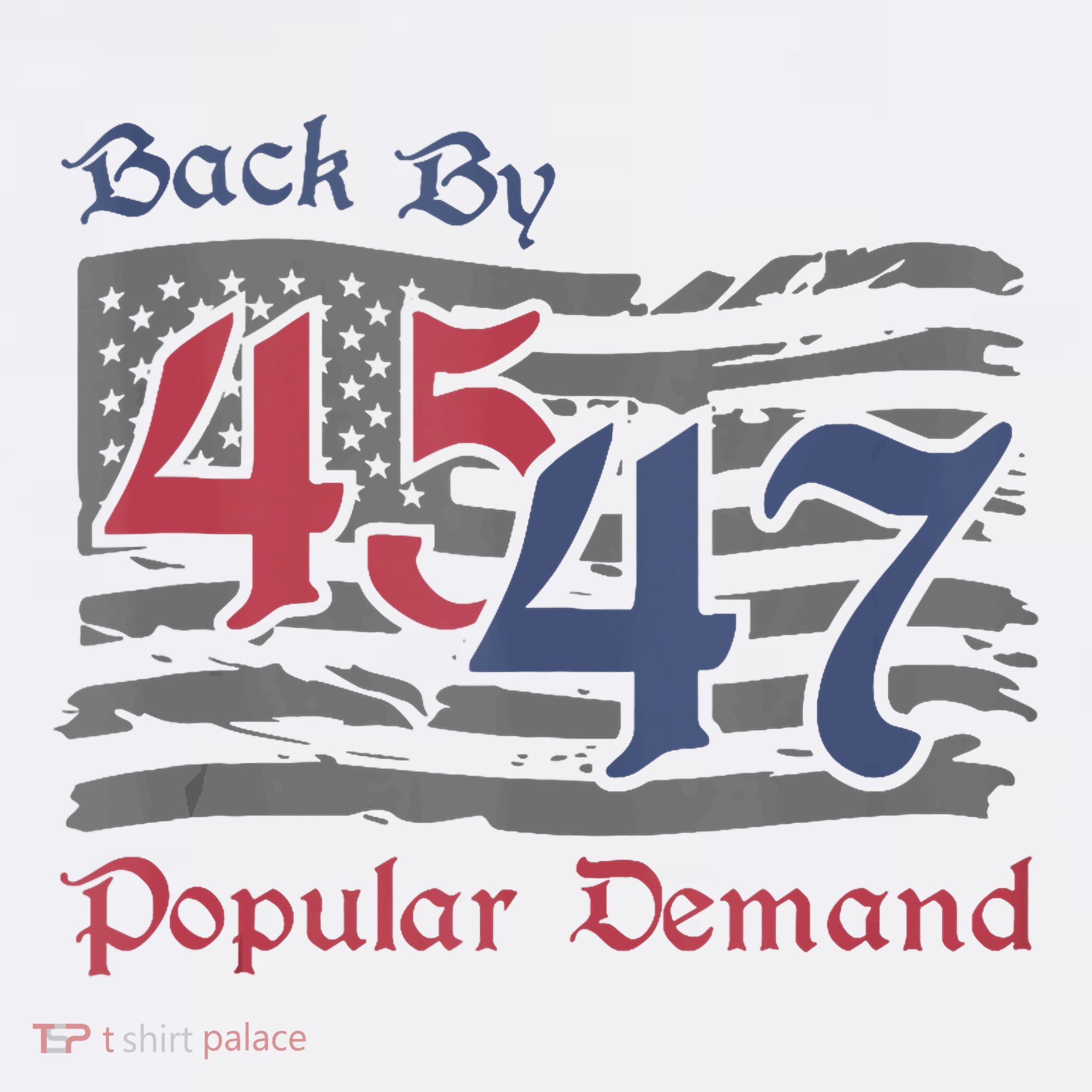 Back By 45 47 Popular Demand Funny America Flag Trump Won Women's Hoodie