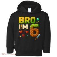 Birthday Boy 6th Birthday Bro I'M 6 Year Old Gamer Pixel Toddler Hoodie thumb 0