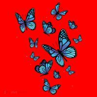 Blue Butterfly Art Garden Beautiful Butterflies Santa Hat thumb 1