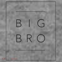 Big Brother Announcement Promoted To Big Bro Toddler Hoodie thumb 2