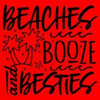 Beaches Booze And Best Friend Vacation Cruise Graphic Great Gift Santa Hat thumb 1