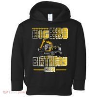 Big Bro Brother Birthday Crew Party Excavator Toddler Hoodie thumb 0