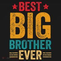 Best Big Brother Ever Big Brother Ornament thumb 1