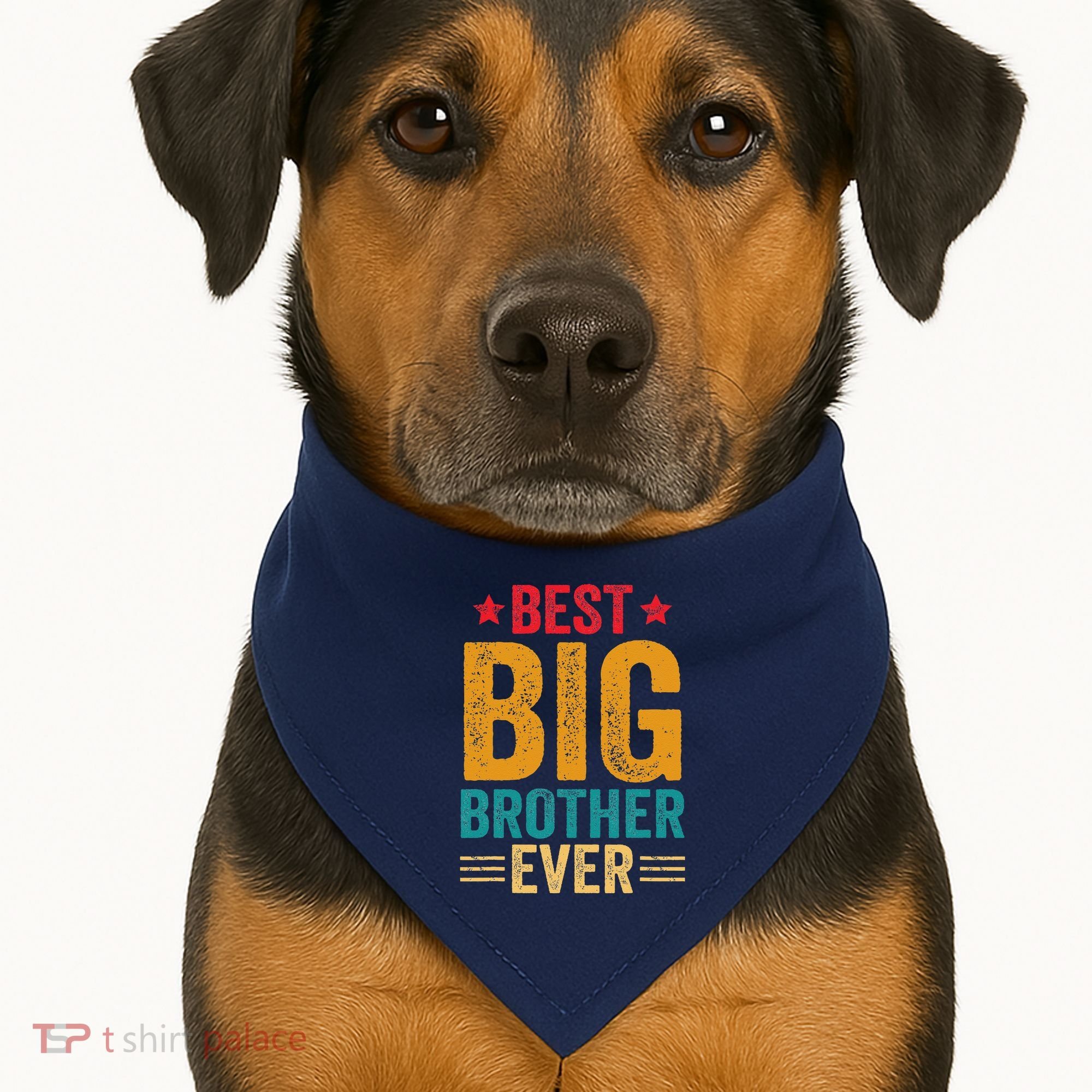Best Big Brother Ever Big Brother USA-Made Doggie Bandana