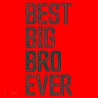 Best Big Brother Bro Ever Funny Big Bro Sibling Big Brother Santa Hat thumb 1