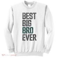 Best Big Brother Bro Ever Funny Big Bro Sibling Big Brother Sweatshirt thumb 0