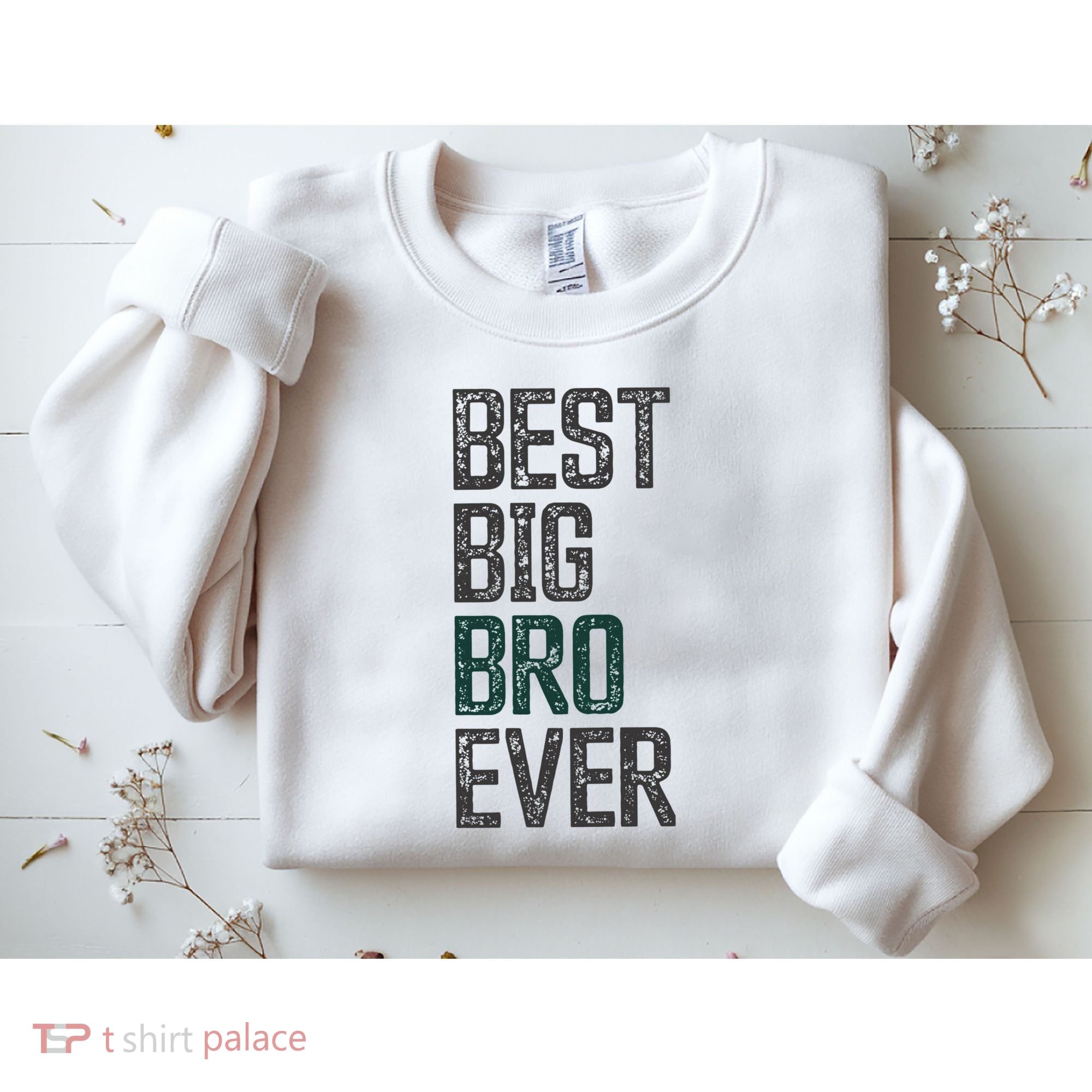 Best Big Brother Bro Ever Funny Big Bro Sibling Big Brother Sweatshirt