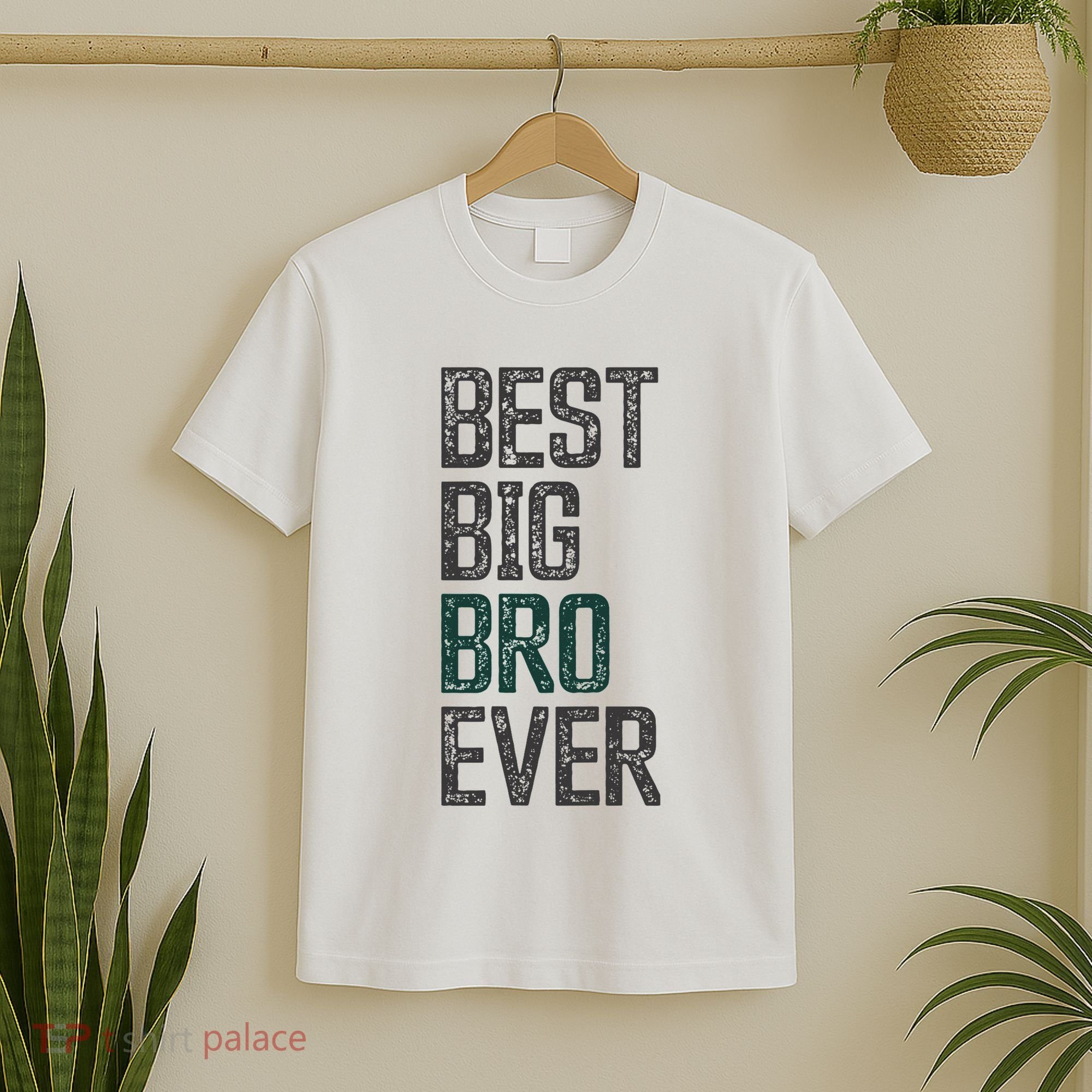 Best Big Brother Bro Ever Funny Big Bro Sibling Big Brother T-Shirt