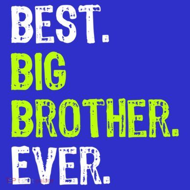 Best Big Brother Ever Nager Older Sibling Gift Sweatshirt