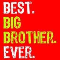 Best Big Brother Ever Nager Older Sibling Gift Santa Hat thumb 1