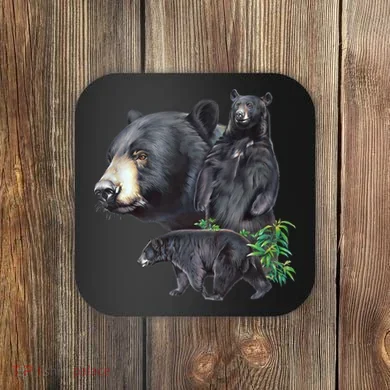 Black Bears Coaster