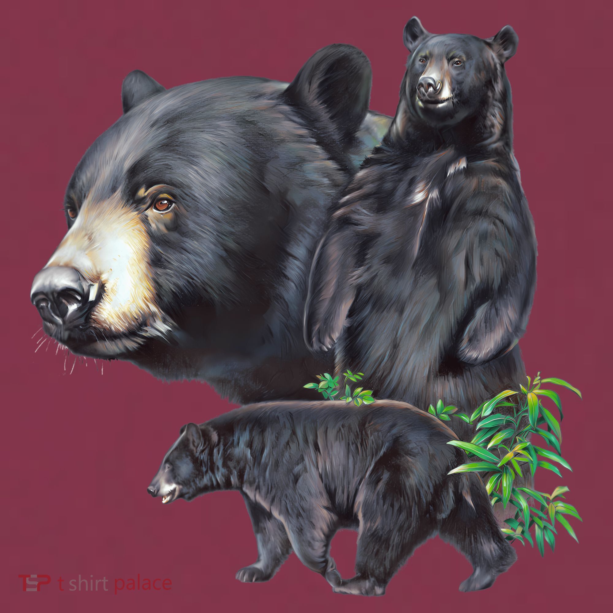 Black Bears 16oz Travel Tumbler