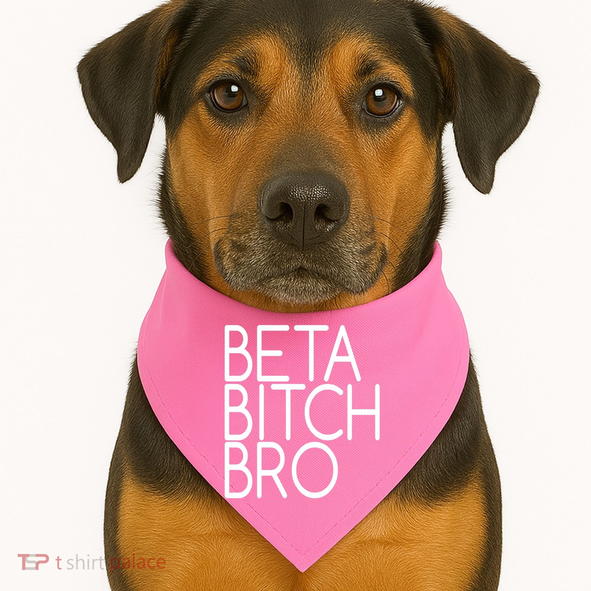 Beta Bitch Bro USA-Made Doggie Bandana
