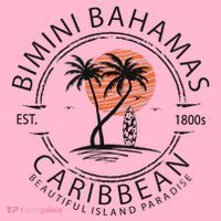 Bimini Beach Bahamas Vacation Caribbean Tropical Summer Coaster thumb 2