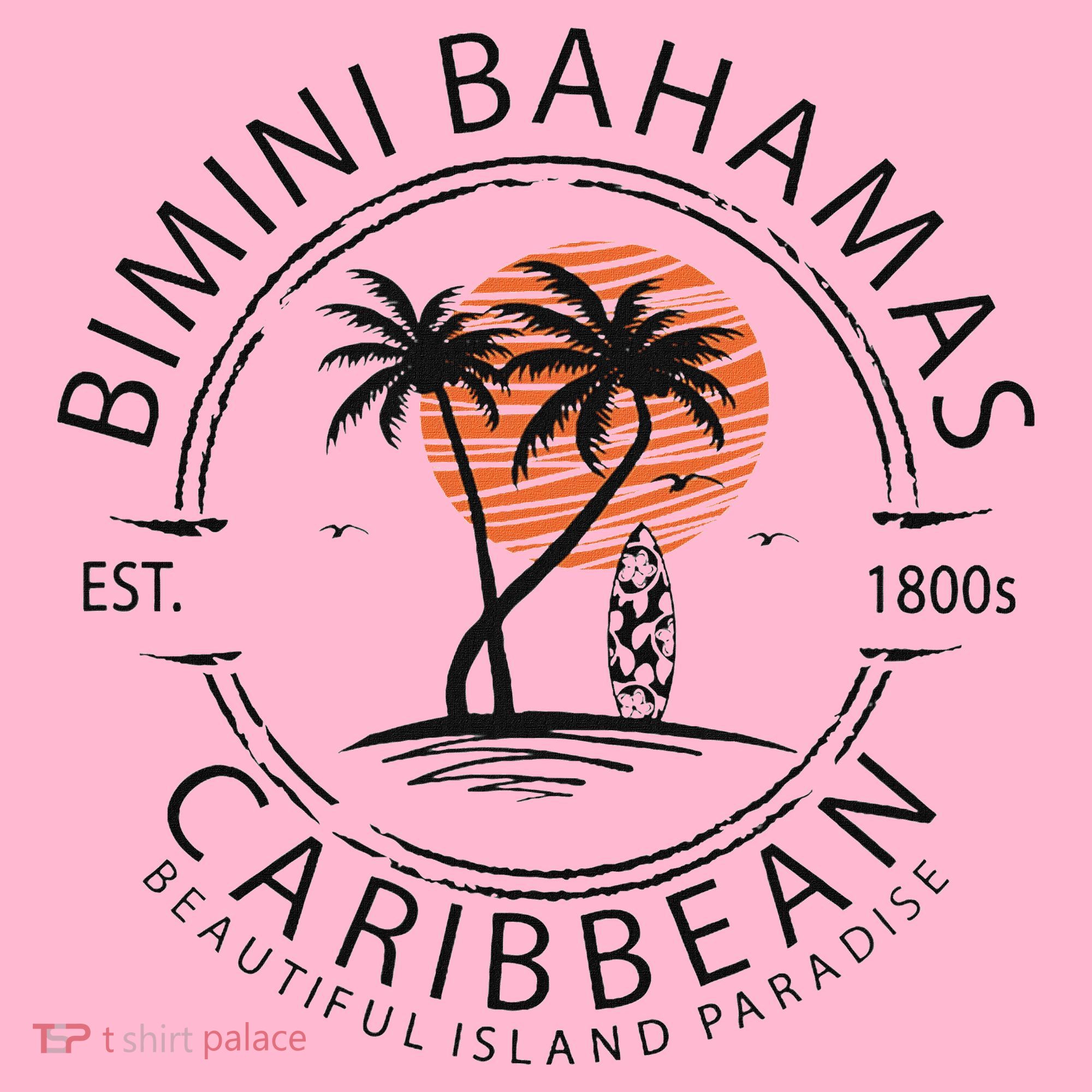 Bimini Beach Bahamas Vacation Caribbean Tropical Summer Coaster