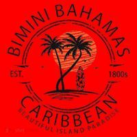 Bimini Beach Bahamas Vacation Caribbean Tropical Summer Santa Hat thumb 1