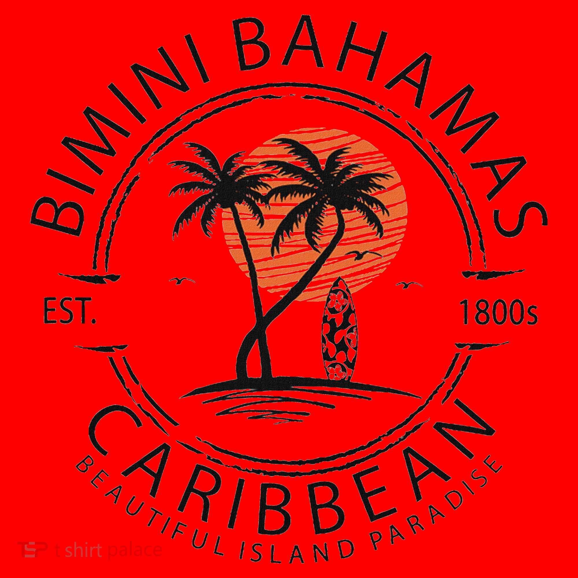 Bimini Beach Bahamas Vacation Caribbean Tropical Summer Santa Hat