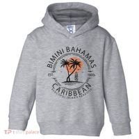 Bimini Beach Bahamas Vacation Caribbean Tropical Summer Toddler Hoodie thumb 0