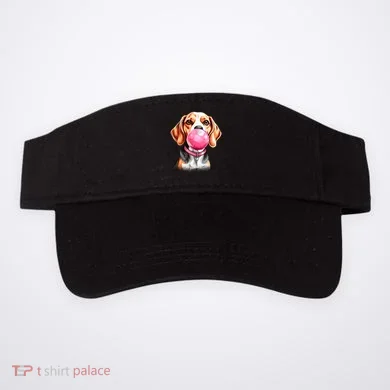 Visor