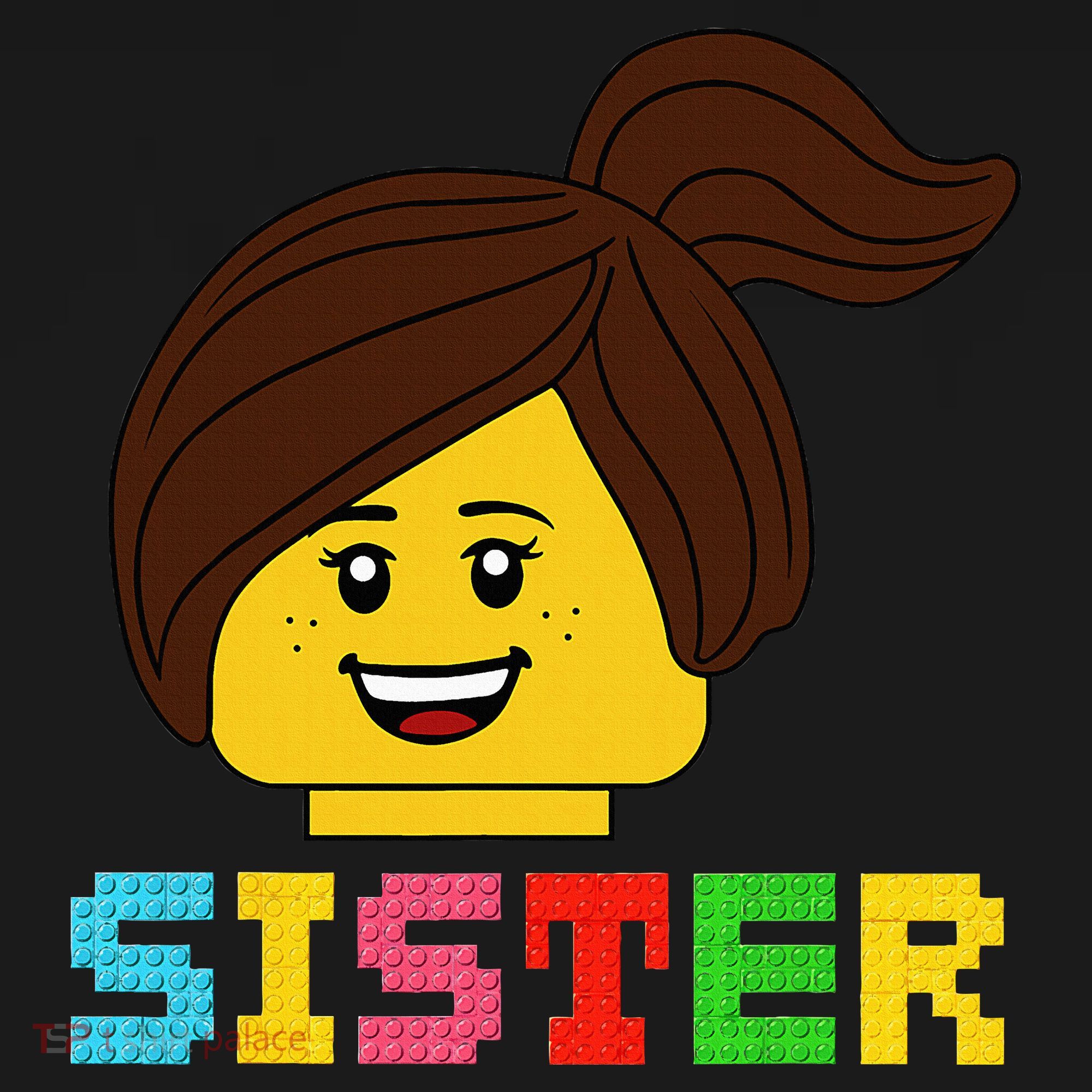 Building Bricks Blocks Sister Master Builder Family Matching Toddler T-Shirt