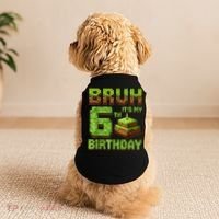 Birthday Boy Bruh It'S My 6th Birthday Game Pixel Doggie Tank thumb 2