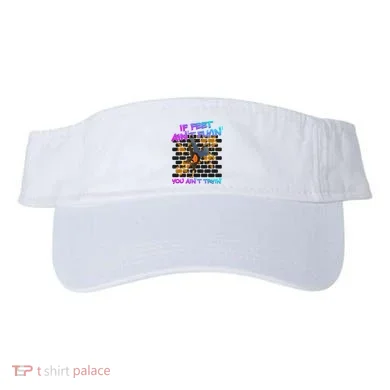 Visor