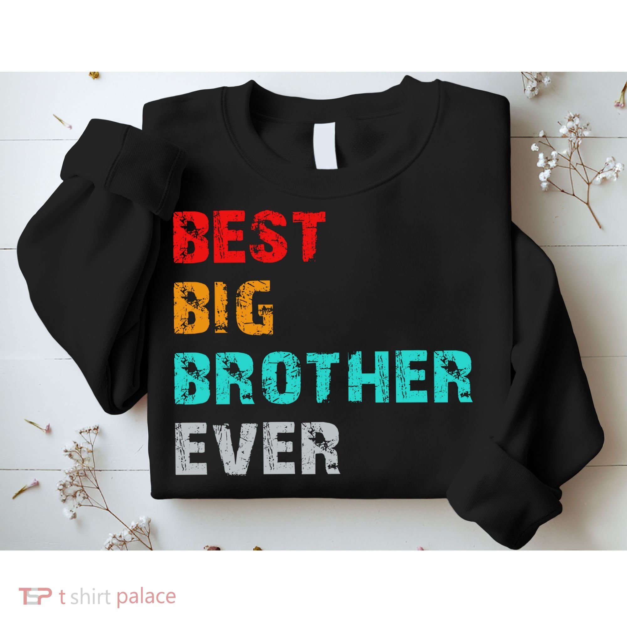 Best Big Brother Ever Sweatshirt