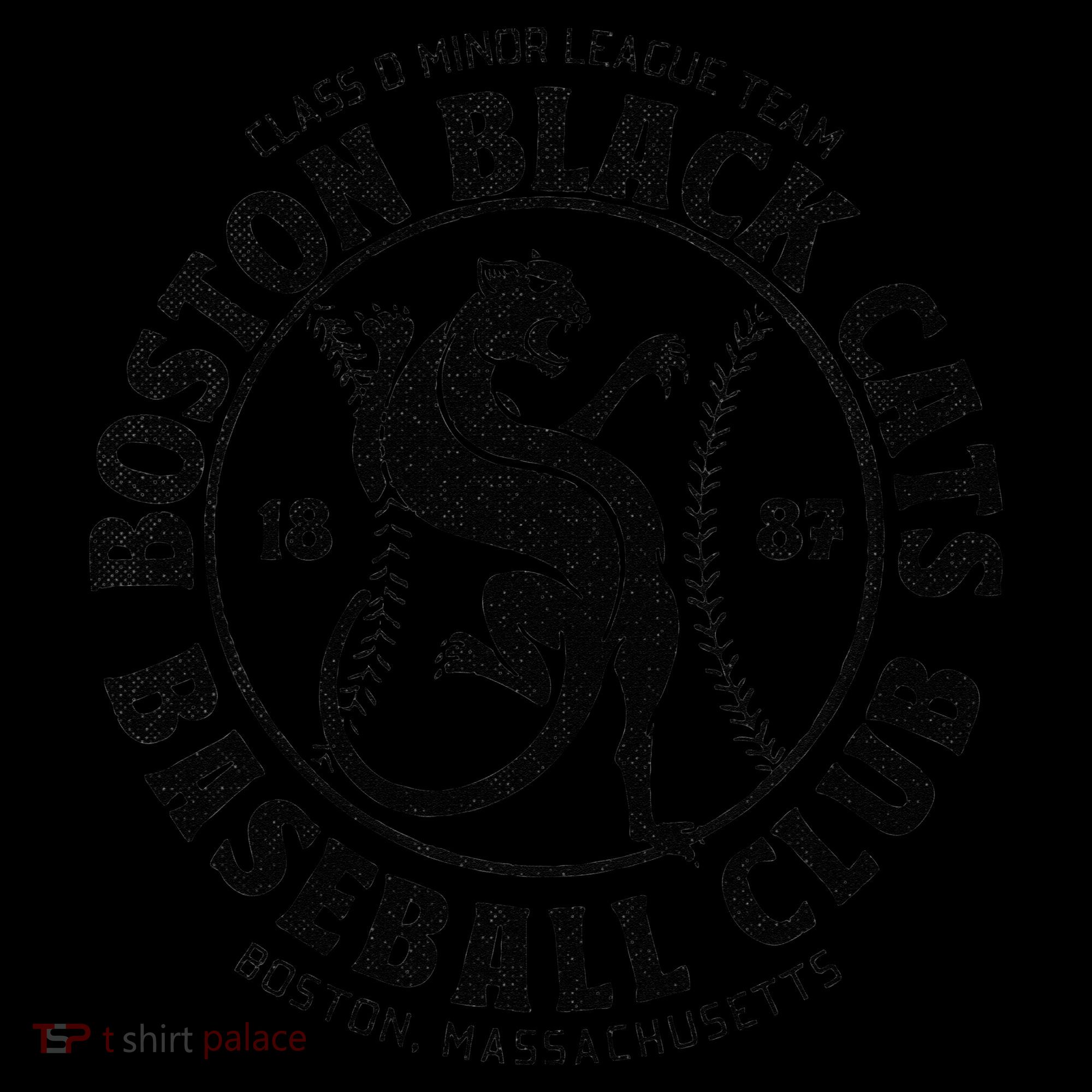 Boston Black Cats Baseball Retro Minor League Baseball Team T-Shirt