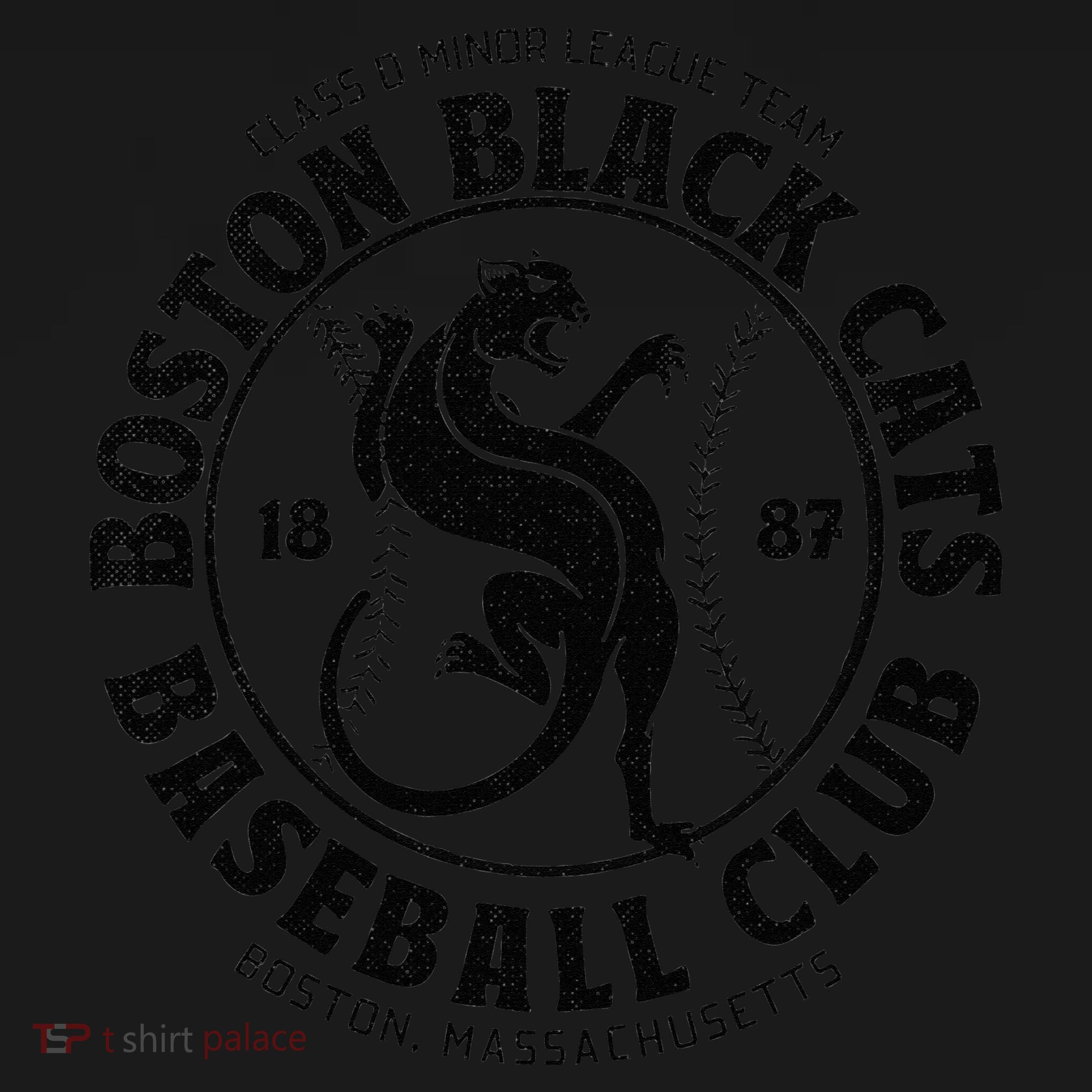 Boston Black Cats Baseball Retro Minor League Baseball Team Toddler Hoodie