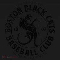 Boston Black Cats Baseball Retro Minor League Baseball Team Kids Sweatshirt thumb 2