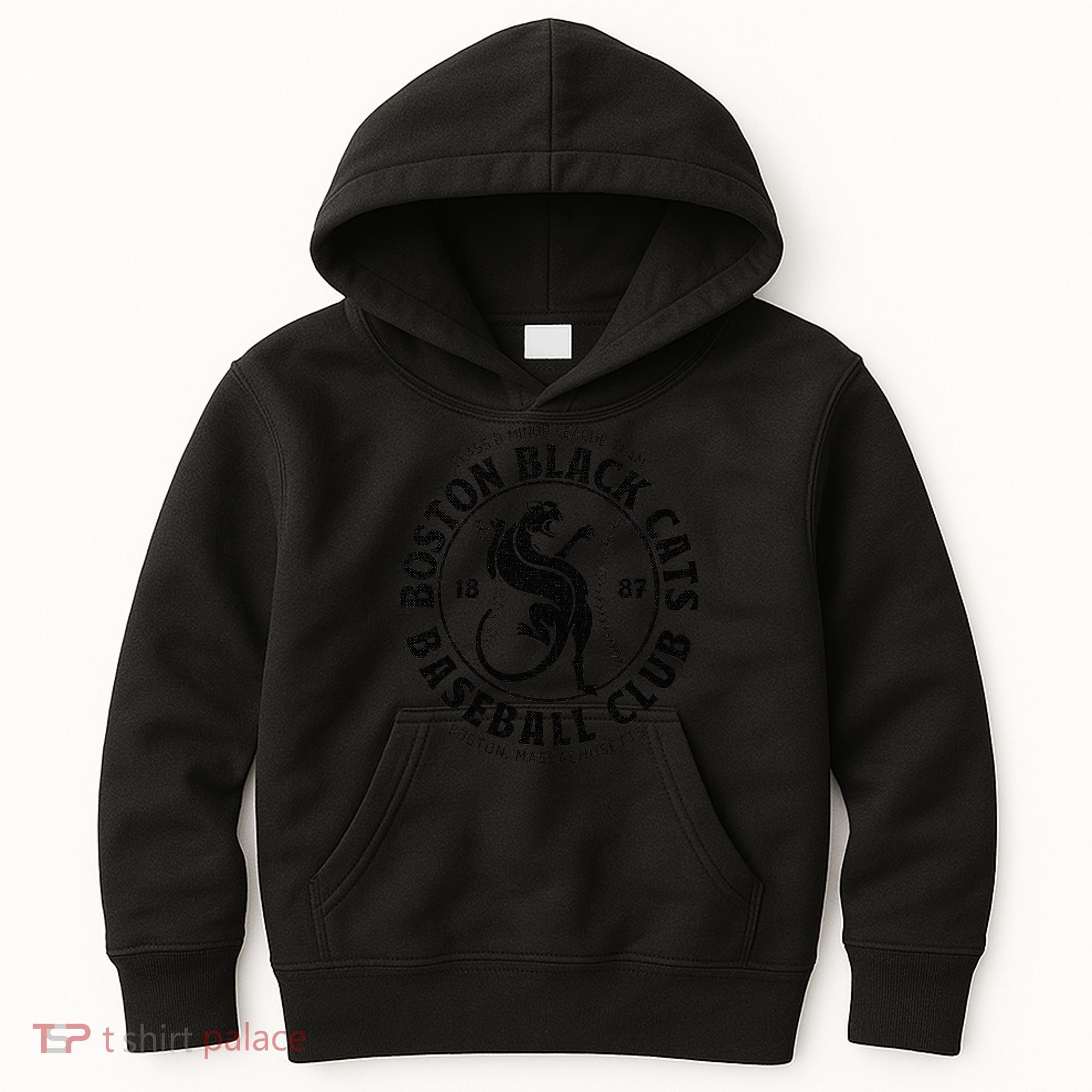 Boston Black Cats Baseball Retro Minor League Baseball Team Kids Hoodie