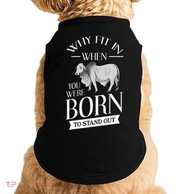 Brahman Bull Cattle Mini Zebu Cow Doggie Tank