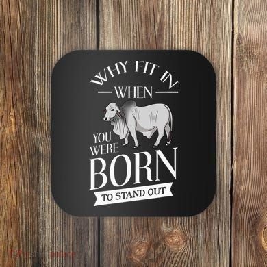 Brahman Bull Cattle Mini Zebu Cow Coaster