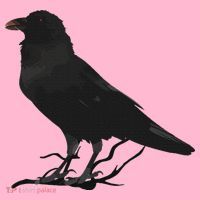 Beautiful Black Crow Raven Bird Silhouette Coaster thumb 2