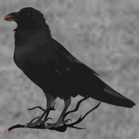 Beautiful Black Crow Raven Bird Silhouette Toddler Hoodie thumb 2