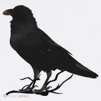 Beautiful Black Crow Raven Bird Silhouette Beanie thumb 2