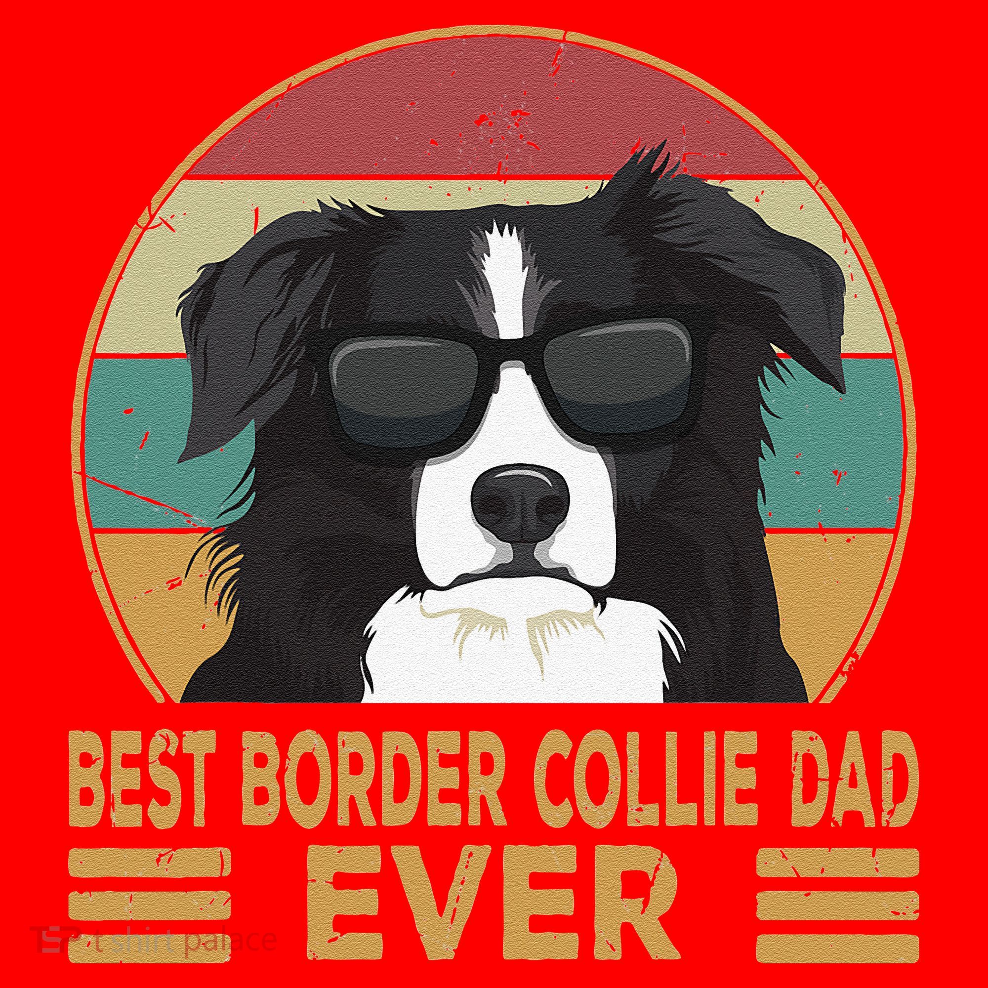 Best Border Collie Dad Ever Funny Dog Gift For And Santa Hat